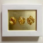 sortierte unbekannte Samen 5 unbekannte Kraft Harzkunst Blattgold japanische Kunst abstrakte Malerei abstrakte Kunst Mischtechnik Art Yi-Galerie Brüsseler Kunstgalerie