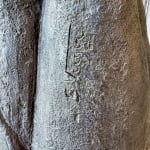 Skulptur von zwei Nashörnern, süße und entzückende Tierskulpturen, zeitgenössische Bronzeskulpturen für Gartenskulpturen, Tierskulpturen von Sophie Verger in der Art Yi-Galerie in Brüssel