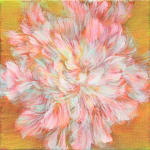 nagare valse de fleur peinture Noriku kura fuji rose printemps fleur peinture japonaise japon peinture contemporaine peinture à l'huile Galerie Art Yi galerie d'art de Bruxelles
