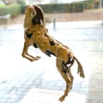 horse contemporary bronze sculpture jacques van den abeele art yi gallery brussels