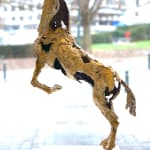 paard hedendaagse bronzen sculptuur jacques van den abeele kunstgalerij brussel