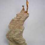 Jean-Pierre BALDINI, Terre IV