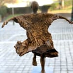 Almost flying lieven d'haese contemporary bronze sculpture a boy opening up his arm against wind to fly child sculpture childhood flying sculpture garden sculpture garden art design Art Yi art gallery in brussels