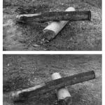 A black-and-white diptych photograph from the section "The Cross' of Chen Qiulin's work "Another Day" where shows a very close shot of two tree stump juxtaposed one another.