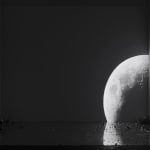陈萧伊 Chen Xiaoyi, 古老的愿景 The Visions of Karma, 2024