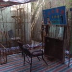 An open-air barber shop surrounded by bamboos