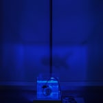 陈萧伊 Chen Xiaoyi, It is the mercy, 2017
