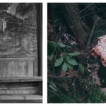 A diptych photograph from the section "Rings" of Chen Qiulin's work "Another Day'. The left on shows a female performer dances in front of a wooden curved landscape panel, while the right one shows a blocked tree stump.