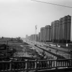 黎朗 Li Lang, 这不是最后一天?系列 THIS IS NOT THE LAST DAY? Series, 2022