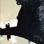 王川 Wang Chuan, 2003 南澳系列 2003 Nan'ao Series, 2003