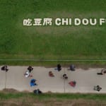 A high angle shot of Chen Qiulin's on-site installation made by tofu in Paris Internationale art fair in 2024.