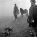 黎朗 Li Lang, 这不是最后一天?系列 THIS IS NOT THE LAST DAY? Series, 2022