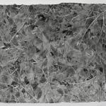 毕蓉蓉 Bi Rongrong, 自在螺旋系列 Coiling Out of A Single Plan Series, 2025