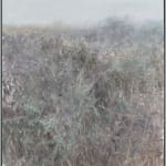 何多苓 He Duoling, 云深不知处 Clouds Hidden, Whereabouts Unknown, 2024