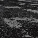 陈萧伊 Chen Xiaoyi, 古老的愿景 The Visions of Karma, 2024