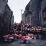A group of Bang Bang men holding flowers stand at the entrance of the alley.