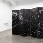 陈萧伊 Chen Xiaoyi, 古老的愿景 The Visions of Karma, 2024