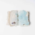 Asma Bahmim, Nine works from the series Fantasia , 2008 - 21