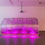 Sarah Abu Abdallah, The Salad Zone, 2013