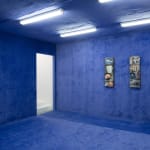 Sarah Abu Abdallah, The Salad Zone, 2013