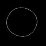 Sultan Bin Fahad, Confessional, 2020