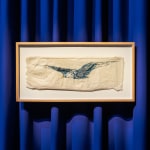 Asma Bahmim, Nine works from the series Fantasia , 2008 - 21