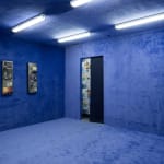 Sarah Abu Abdallah, The Salad Zone, 2013
