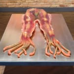 Agnes Questionmark, Thorax Dissection, 2024