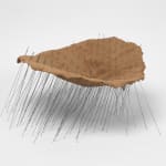 Talin Hazbar, Earth Records: Impermanence, 2015-2023