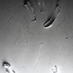 Baxter, Substance #01, 2024