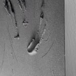 Baxter, Substance #01, 2024