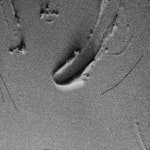 Baxter, Substance #01, 2024