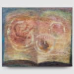 Sophie Birch, Osmosis, 2024