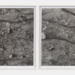 Sofia Nifora, It’s just the way it changed, like the shoreline to the sea, 2022