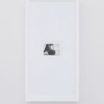 Benjamin Renoux, THE GAZE OF MEDUSA (Leapfrog), 2016