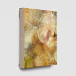 Sophie Birch, Osmosis, 2024