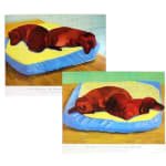 Thumbnail of additional image