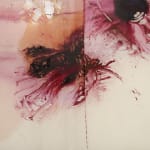Minh Lan Tran, Belly of Signs, 2025
