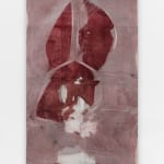 Minh Lan Tran, Belly of Signs, 2025