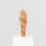 Shabahang Tayyari, Heart-pet, 2026