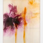 Minh Lan Tran, Belly of Signs, 2025