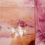 Minh Lan Tran, Belly of Signs, 2025