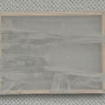 Chen Ruofan 陈若璠, Diary from the Arctic Circle 登岛日记, 2024