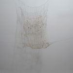 Chen Ruofan 陈若璠, Diary from the Arctic Circle 登岛日记, 2024