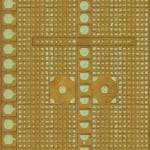 Duyi Han 韩笃一, From Amino Acid to Protein 从氨基酸到蛋白质, 2024