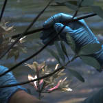 Zhang Yibei 张移北, Helmet 钢盔, 2024