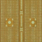 Duyi Han 韩笃一, From Amino Acid to Protein 从氨基酸到蛋白质, 2024