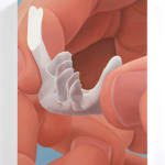 Liang Hao 梁浩 , When You Look at Caravaggio's Paintings, You will See a Lot of Gestures, A Quote From...