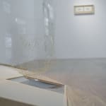 Chen Ruofan 陈若璠, Diary from the Arctic Circle 登岛日记, 2024