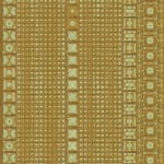 Duyi Han 韩笃一, From Amino Acid to Protein 从氨基酸到蛋白质, 2024